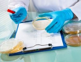 محیط کشت ویولت ردبایل گلوکزآگار VRBD