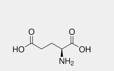 مشخصات اسید گلوتامیک کد مرک 100291