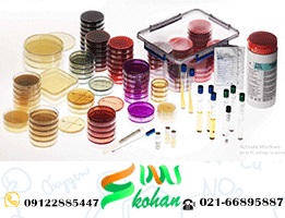 محیط کشت پالکام لیستریا سلکتیو آگار کد مرک 111755