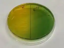 محیط کشت TCBS AGAR
