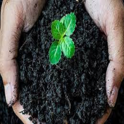 Applications of humic acid in agriculture--