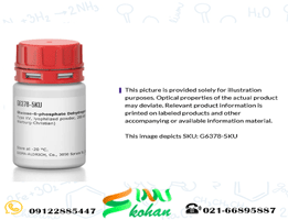 گلوکز-۶-فسفات دی هیدروژناز کد G6378