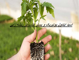 اثر اسید ایندول بوتیریک و بستر کشت بر ریشه زایی