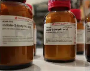 اسید ایندول بوتیریک