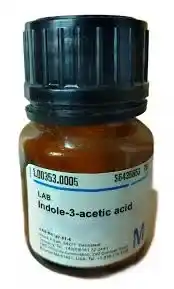 ایندول استیک اسید