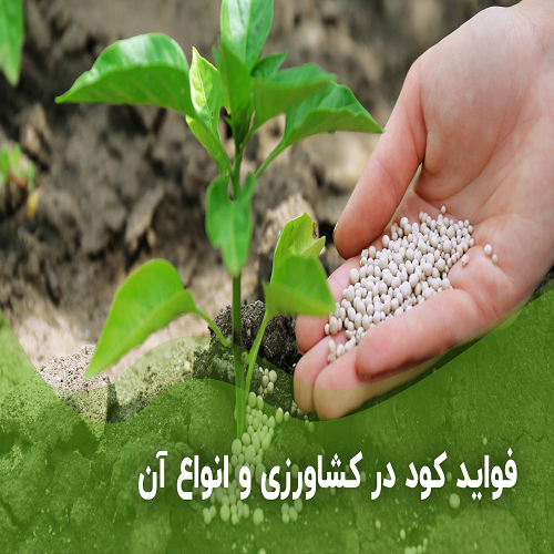 اهمیت کود شیمیایی برای تولید محصولات زراعی