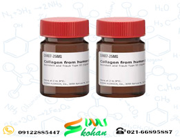کلاژن A کد L7220 سیگماآلدریچ