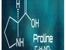 پرولین و خواص دارویی آن برای بدن