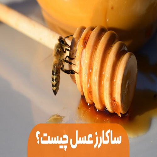 ساکارز عسل چیست؟