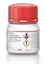 تریازولام (Triazolam)