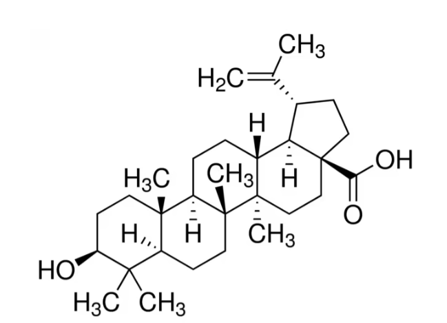 بتولینیک اسید سیگما آلدریچ-min