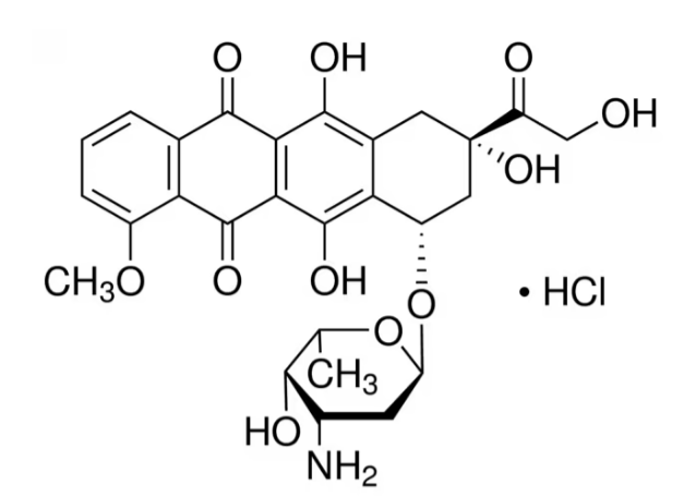 دوکسوروبیسین هیدروکلراید-min(2)