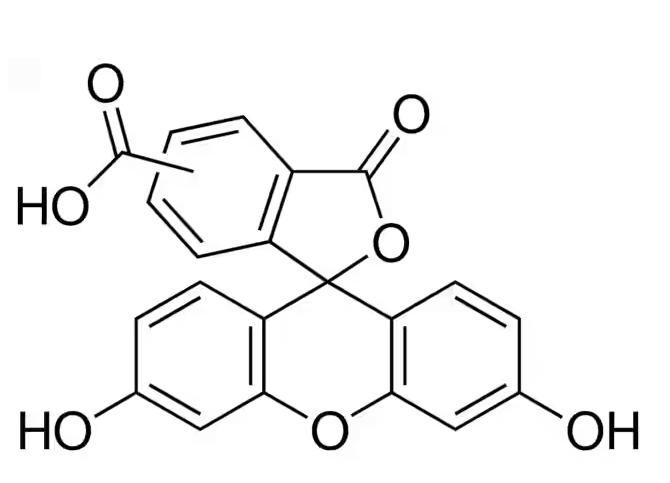کربوکسی فلورسئین 5(6)