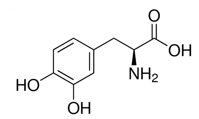 4,3-دی هیدروکسی ال- فنیل آلانین 