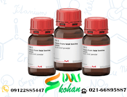 سرم جنین گاوی ( Fetal Bovine Serum )