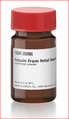 سرم جنین گاوی ( Fetal Bovine Serum )