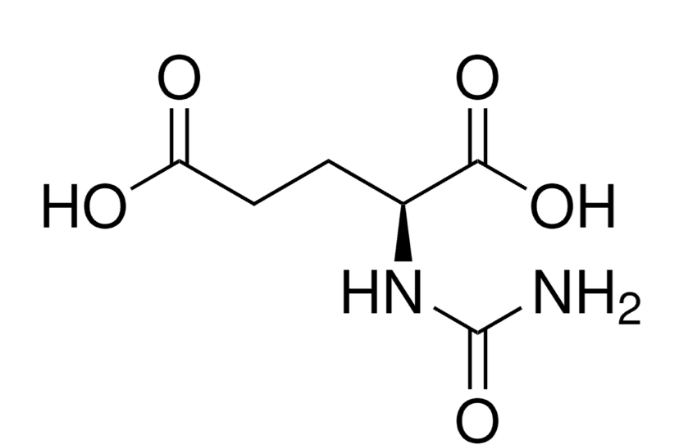 ان کاربامیل ال-گلوتامیک اسید
