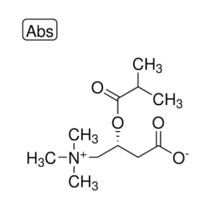خرید  ایزوبوتیریل-ال-کارنیتین