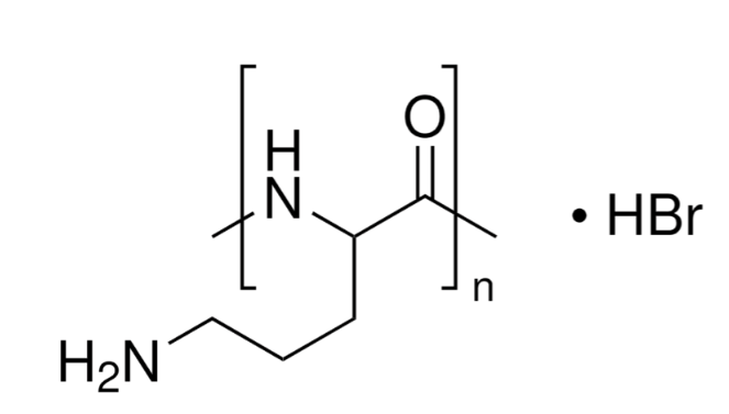 پلی-DL-اورنیتین هیدروبرومید