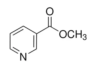 متیل نیکوتینات