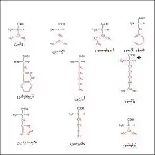 8-آمینو متانوئیک اسید