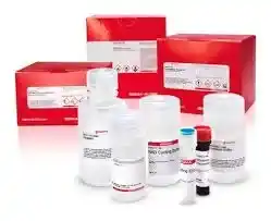 پودوفیلوتوکسین