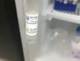 بنزوناز نوکلئاز