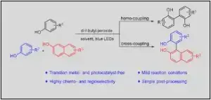 دی ترت بوتیل پراکسید