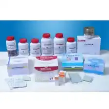 خرید محیط کشت پالکام آگار