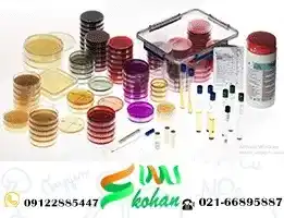 خرید محیط کشت پالکام اگار