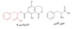 اکراتوکسین A چیست؟ آشنایی کامل با منابع 2 اکراتوکسین A چیست؟ آشنایی کامل با منابع